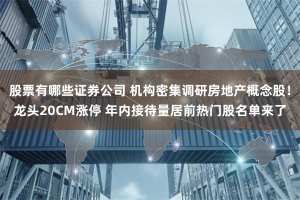 股票有哪些证券公司 机构密集调研房地产概念股！龙头20CM涨停 年内接待量居前热门股名单来了