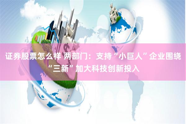 证券股票怎么样 两部门：支持“小巨人”企业围绕“三新”加大科技创新投入