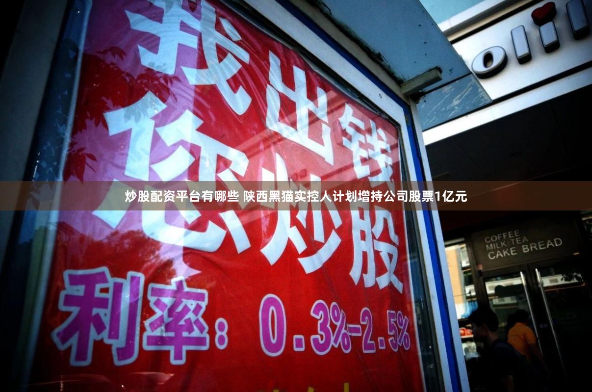 炒股配资平台有哪些 陕西黑猫实控人计划增持公司股票1亿元