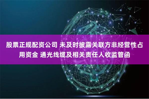 股票正规配资公司 未及时披露关联方非经营性占用资金 通光线缆及相关责任人收监管函
