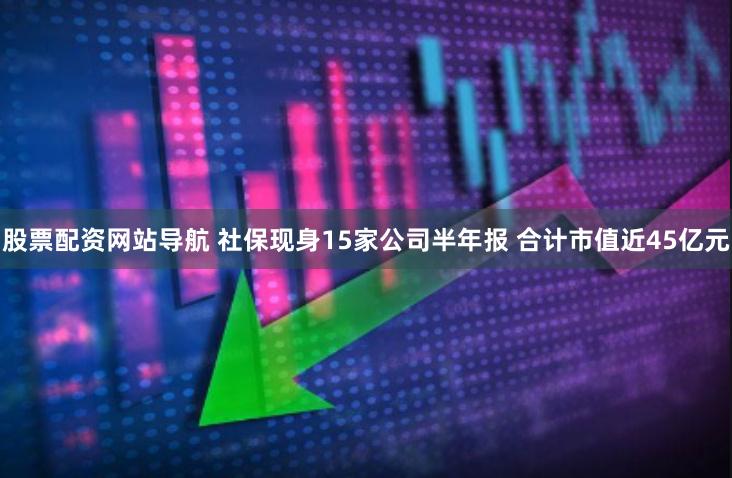 股票配资网站导航 社保现身15家公司半年报 合计市值近45亿元