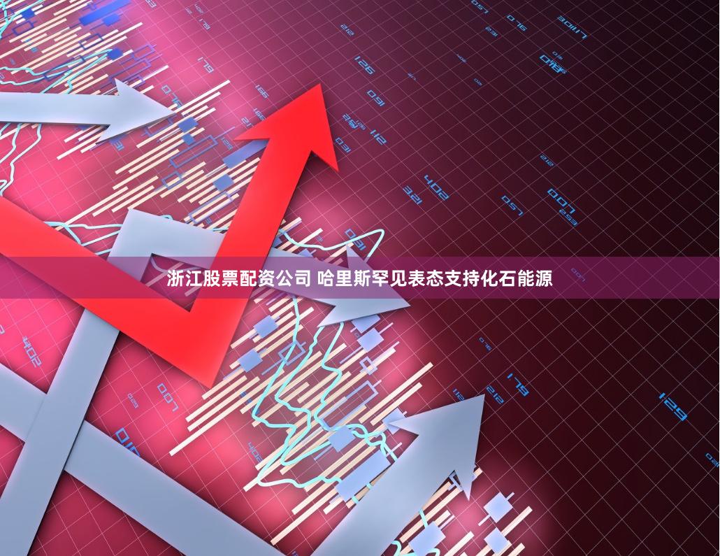 浙江股票配资公司 哈里斯罕见表态支持化石能源