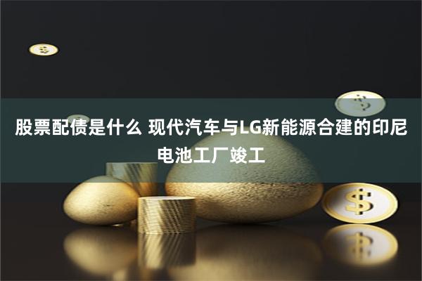 股票配债是什么 现代汽车与LG新能源合建的印尼电池工厂竣工