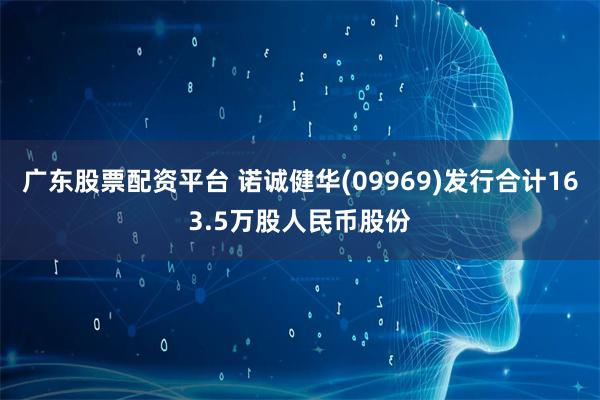 广东股票配资平台 诺诚健华(09969)发行合计163.5万股人民币股份