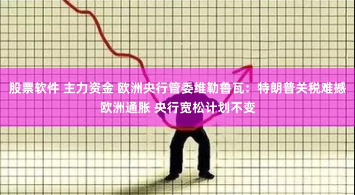 股票软件 主力资金 欧洲央行管委维勒鲁瓦：特朗普关税难撼欧洲通胀 央行宽松计划不变