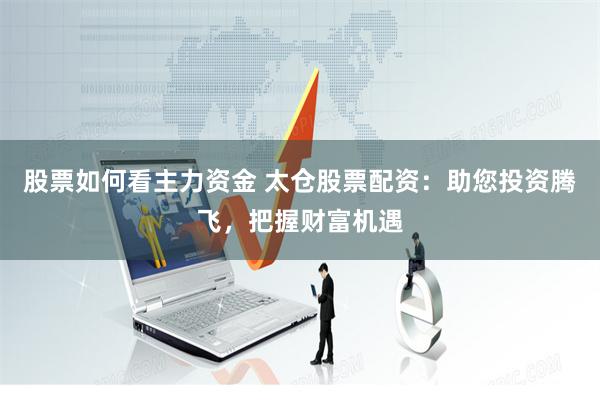 股票如何看主力资金 太仓股票配资：助您投资腾飞，把握财富机遇