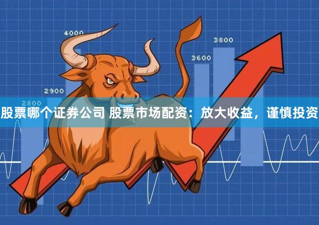 股票哪个证券公司 股票市场配资：放大收益，谨慎投资